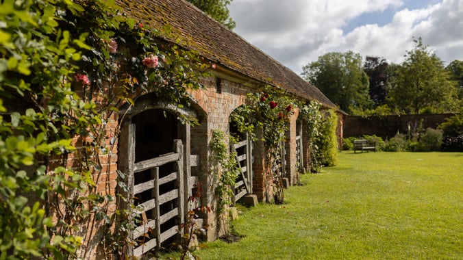 Roses on the Bus Stalls at Barrington Court